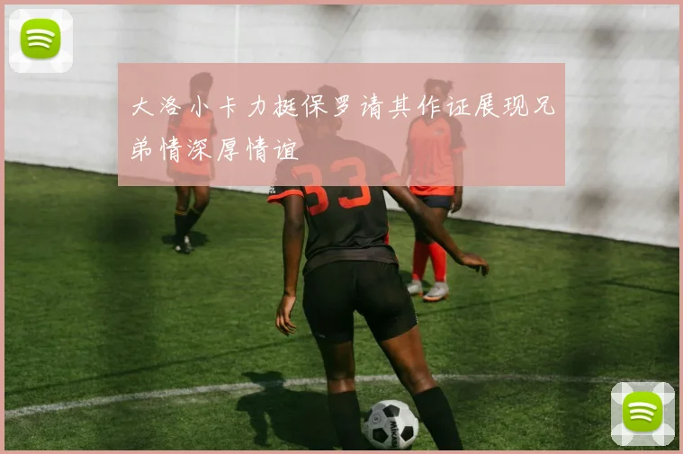 大洛小卡力挺保罗请其作证展现兄弟情深厚情谊