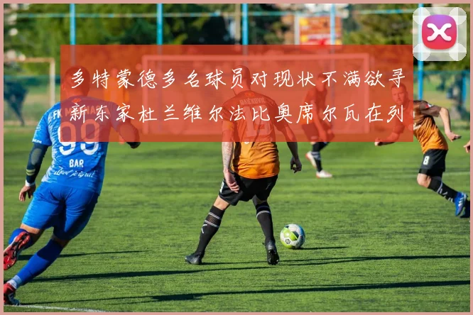 多特蒙德多名球员对现状不满欲寻新东家杜兰维尔法比奥席尔瓦在列