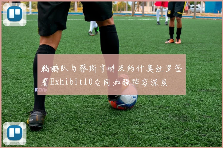 鹈鹕队与蔡斯亨特及约什奥杜罗签署Exhibit10合同加强阵容深度